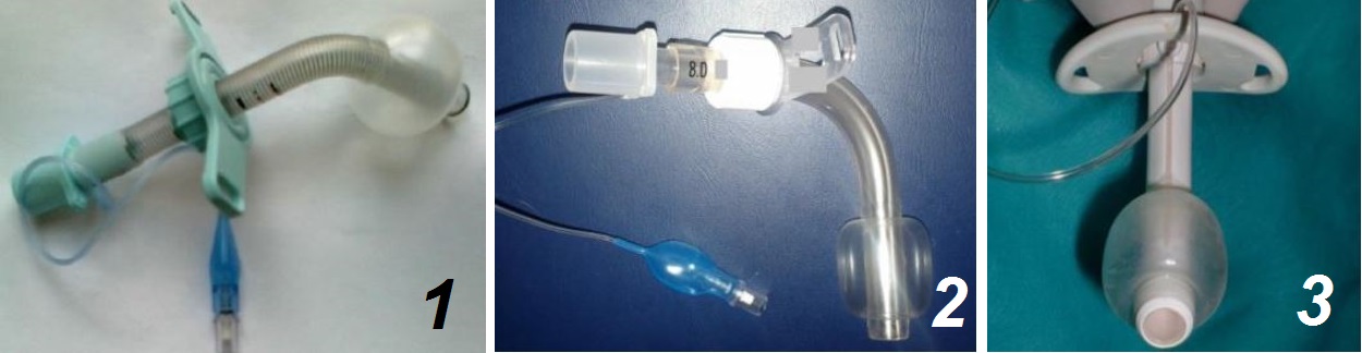 Tracheostomia E Cannule Tracheostomiche Gestione Infermieristica Tracheostomia E Cannule Tracheostomiche Gestione Infermieristica