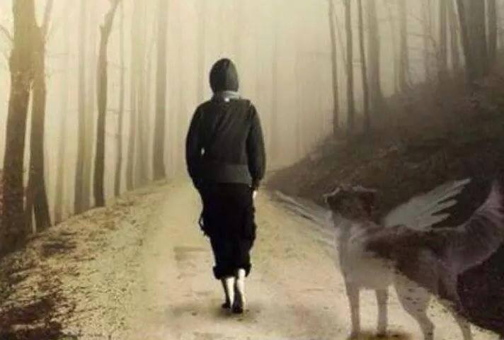 La Morte Non E Niente Di Henry Scott Holland Nurse Times