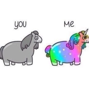 10245272_10208089001173077_8382282280172972993_n