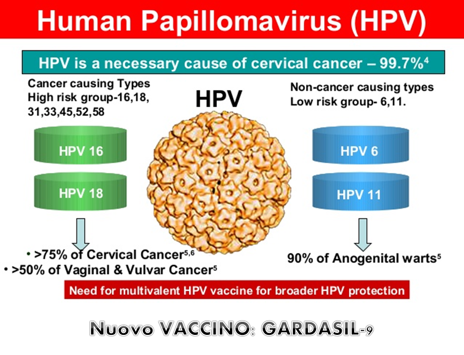 Papilloma virus vaccino donne - Papilloma virus vaccino nuovo