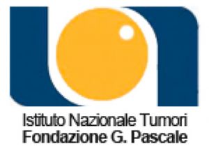 Campania, la Regione dice no alla stabilizzazione di 11 dipendenti della Fondazione Pascale 2