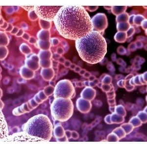 Iniezioni intramuscolari: disinfettare o non disinfettare la cute? 1