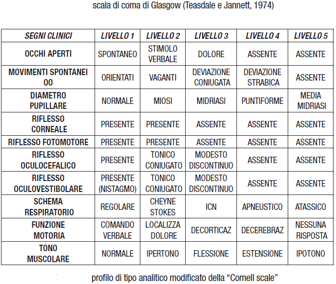 Valutazione del coma da trauma cranico: 1