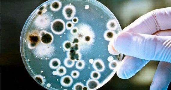 Creata nuova classe di anibiotici che combatte i batteri resistenti